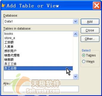 Visual FoxPro9.0中设计与使用查询