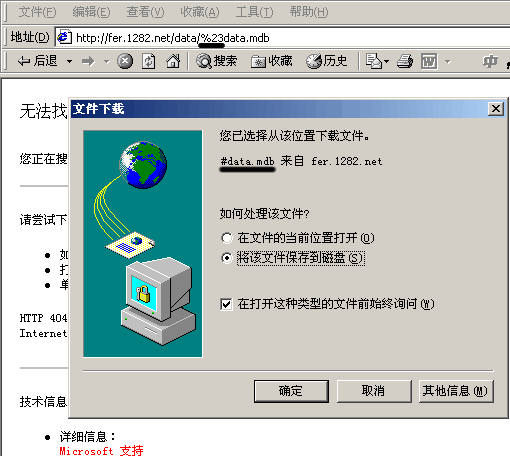 Access 数据库安全攻防策略(图二)